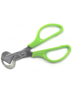 TIJERA ABRIR HUEVOS CODORNIZ 2