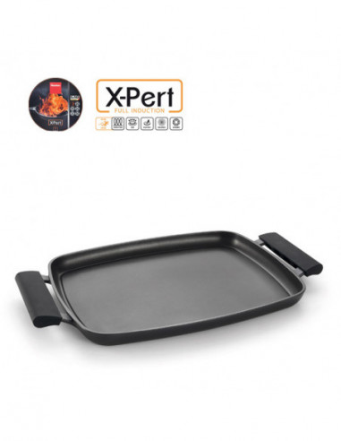 ASADOR PARILLA LISO XPERT