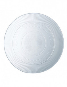 PLATO PRESENTACION LOUISON