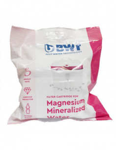 CARTUCHO FILTRO BOLSA 1 UD 2