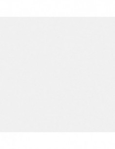 PAPEL ADHESI. TRANS. BR. R/15M 2