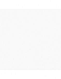 PAPEL ADHESI. BLANC MATE R/15M 2