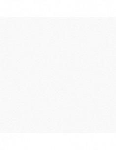 PAPEL ADHESI. TRANS.MATE R/15M 2