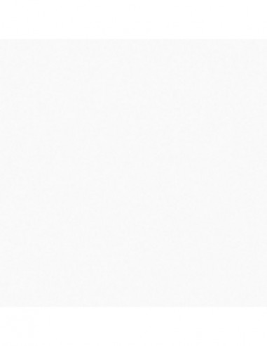 PAPEL ADHESI. TRANS.MATE R/15M