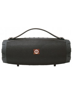 ALTAVOZ POTENTE 2 ALTAV 15 W