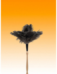 PLUMERO AVESTRUZ M/TORNEADO 2