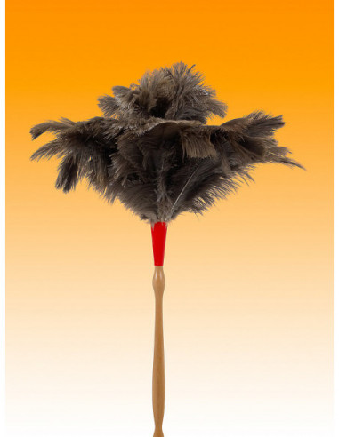 PLUMERO AVESTRUZ M/TORNEADO