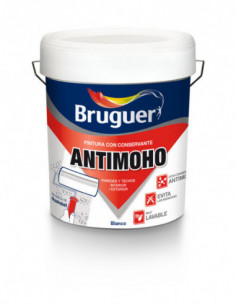 ANTIMOHO PINTURA 2