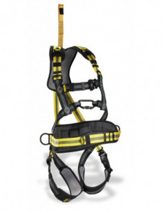 ARNES CINTUR+DORS+PROLONGADOR