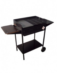 BARBACOA CARBON/LEÑA FORMENTER 2