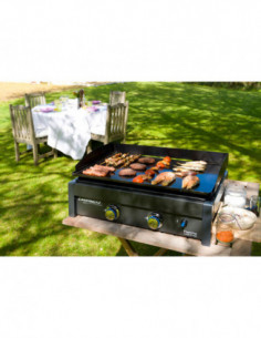 PLANCHA A GAS 2 QUEMADORES 2