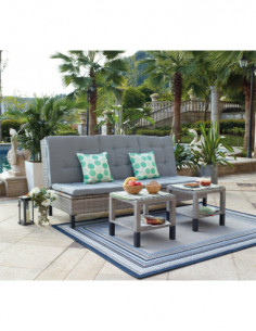 CONJUNTO ACE/RAT SINT GAMBIA 2