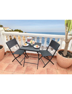 CONJUNTO PLEG ACER/RAT SINT... 2