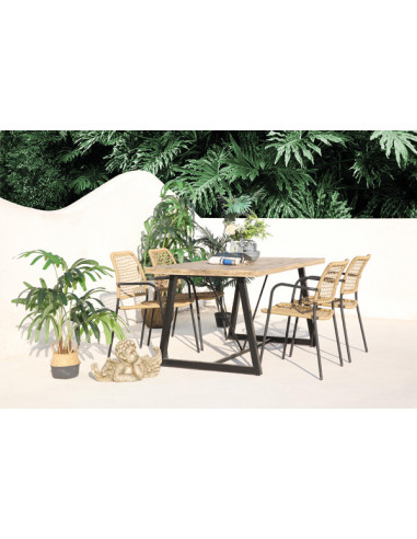 CONJUNTO MESA 4 SILLAS RATTAN/ACERO