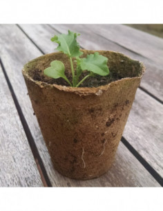 MACETA DE TURBA REDONDA 2