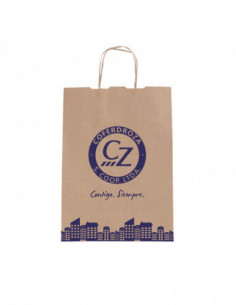 BOLSA PAPEL KRAFT ASA C/350 2