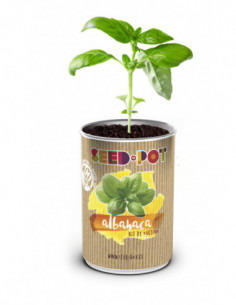 LATA CULTIVO SEMILLA ALBAHACA 2