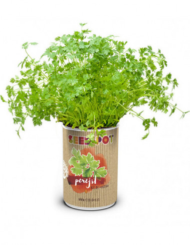 LATA CULTIVO SEMILLA PEREJIL