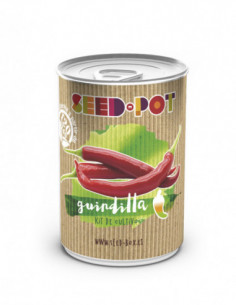 LATA CULTIVO SEMILLA GUINDILLA 2