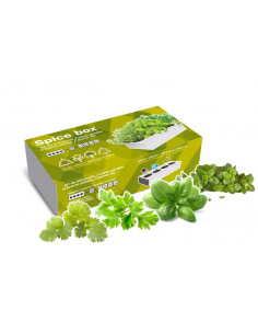 CAJA CULTIVO PLANTAS AROMATICA 2