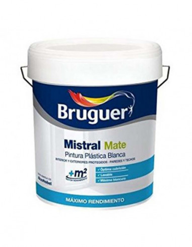 PINTURA PLASTICA INTERI/EXTERI