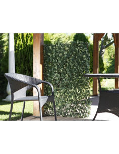 CELOSIA MIMBRE CIPRES