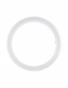 TUBO CIRCULAR LED 32 T9 LF
