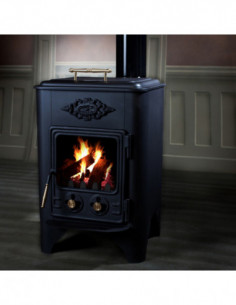 ESTUFA LEÑA C/HORNO S/TRAS