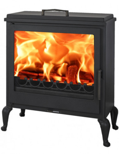 ESTUFA ECODESING LEÑA AUBE C/HORNO