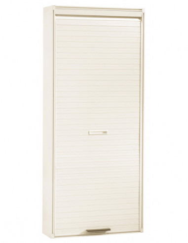 ARMARIO RESINA 4ESTAN PERSIAN