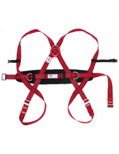 ARNES ANTICAIDA DORSAL/CINTURO 2