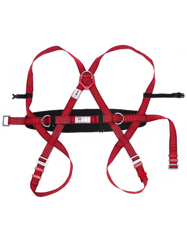 ARNES ANTICAIDA DORSAL/CINTURO