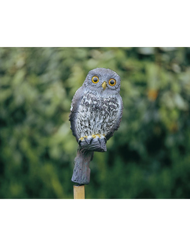 MOCHUELO DECORATIVO JARDIN