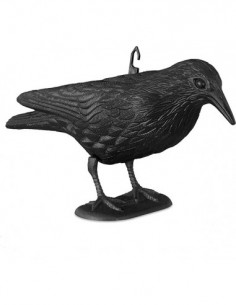 CUERVO ESPANTAPAJAROS 2