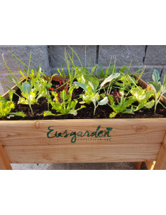 HUERTO URBANO DE MADERA