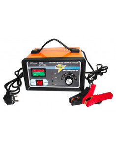 CARGADOR BATERIA + ARRANCADOR 2