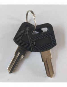 LLAVE BUZON C2-102/3/4/5 2