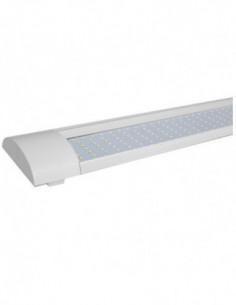 REGLETA LED 6000K 120 CM 2