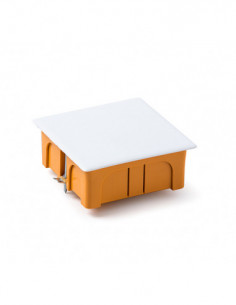 CAJA EMPOTRAR PLADUR... 2