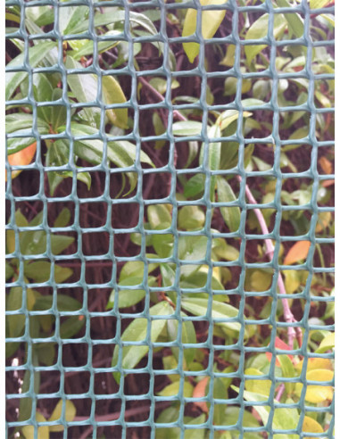 MALLA CUADRADA VERDE ROLLO