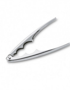 CASCANUECES MARISQUERO MUELLE 2