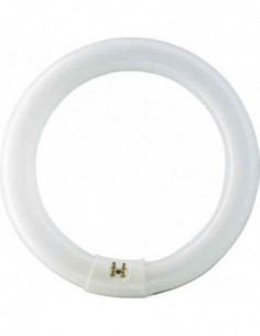 TUBO FLUORESCE CIRCULAR T9