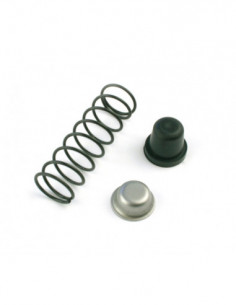 MUELLE+TOPE RECAMBIO 4000-0751