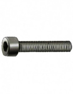TORNILLO ALLEN DIN912 8.8 PAV.