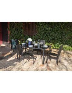 SET MESA+4 SILLAS APIL...