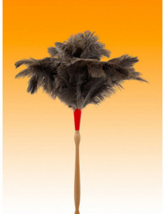 PLUMERO AVESTRUZ M/TORNEADO