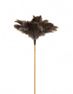 PLUMERO AVESTRUZ M/VARILLA