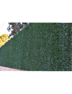 SETO ARTIFICIAL BICOLOR H.FINA 2