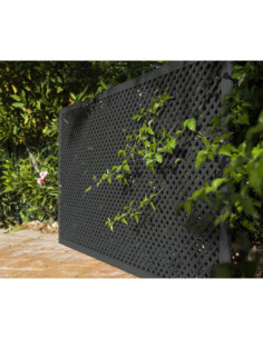 CELOSIA ECOLOGICA LOP ANTRACIT 2