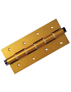 PAR BISAGRA MUELLE N 58 PLATA 2